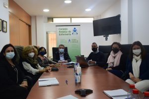 Reunión para impulsar la implantación de la Enfermera Escolar en los centros educativos de Andalucía