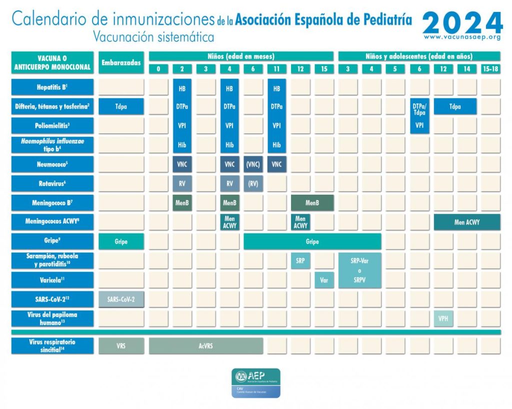 La Asociación Española de Pediatría presenta el nuevo calendario de vacunación para 2024